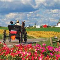 Meet our Amish Friends by Lenzner Tours