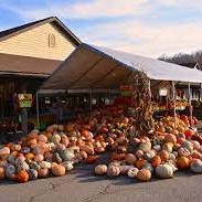 Amish Country Market Day by Lenzner Tours 