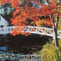 New England Fall Foliage by Lenzner Tours